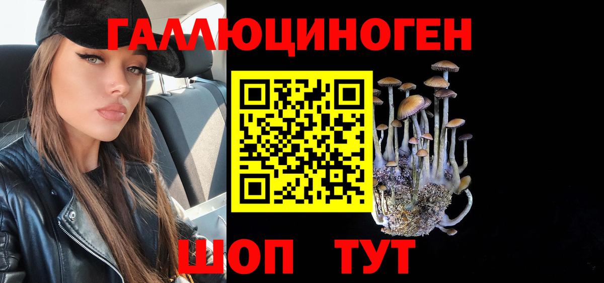 Заволжье  Псилоцибиновые грибы мицелий  Вход с VPN  наркошоп  Псилоцибиновые грибы мухоморы 